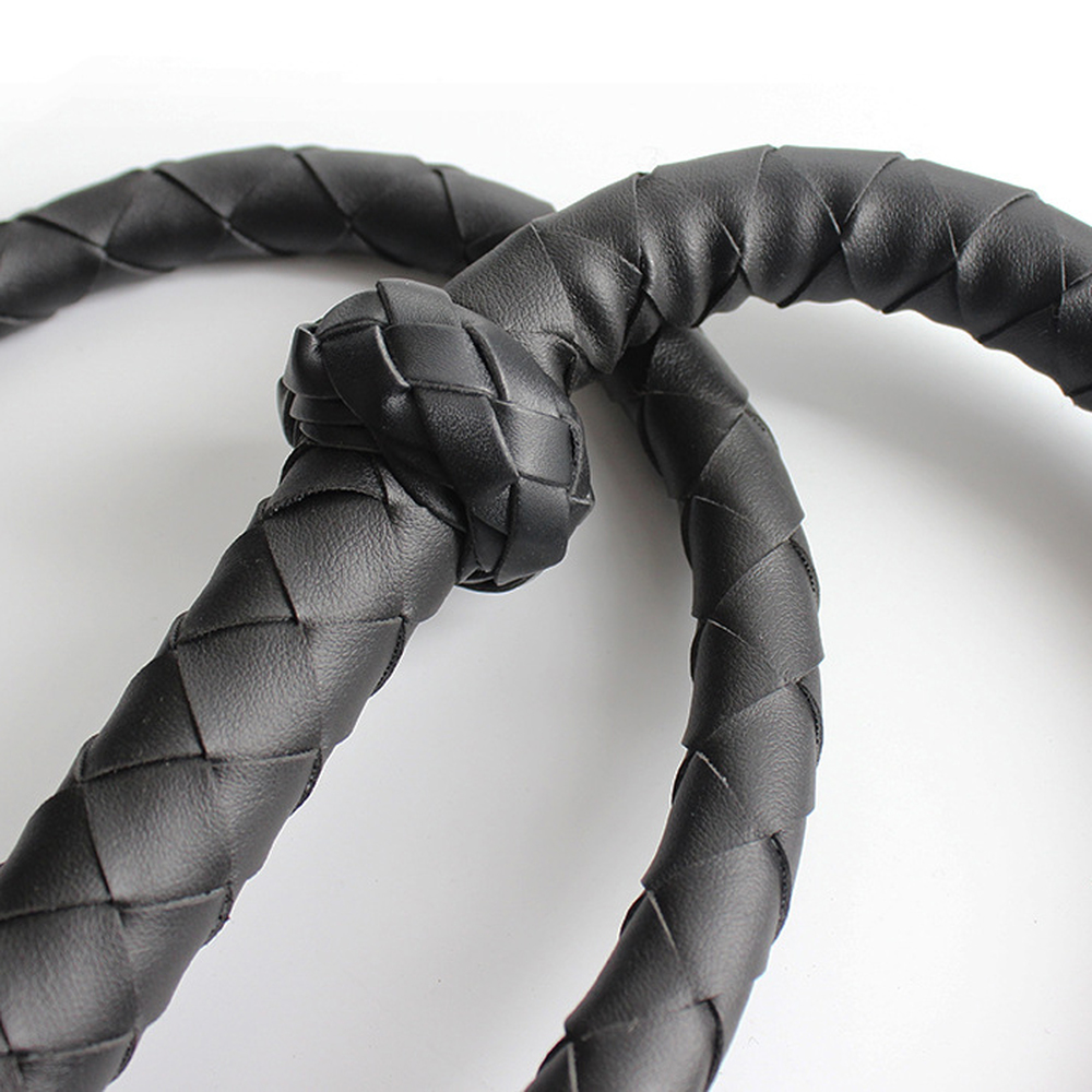 (image for) The Queen Whip