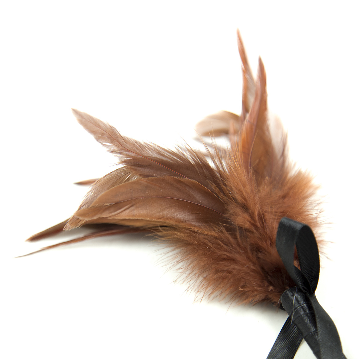 (image for) Frisky Feather Duster With Bow