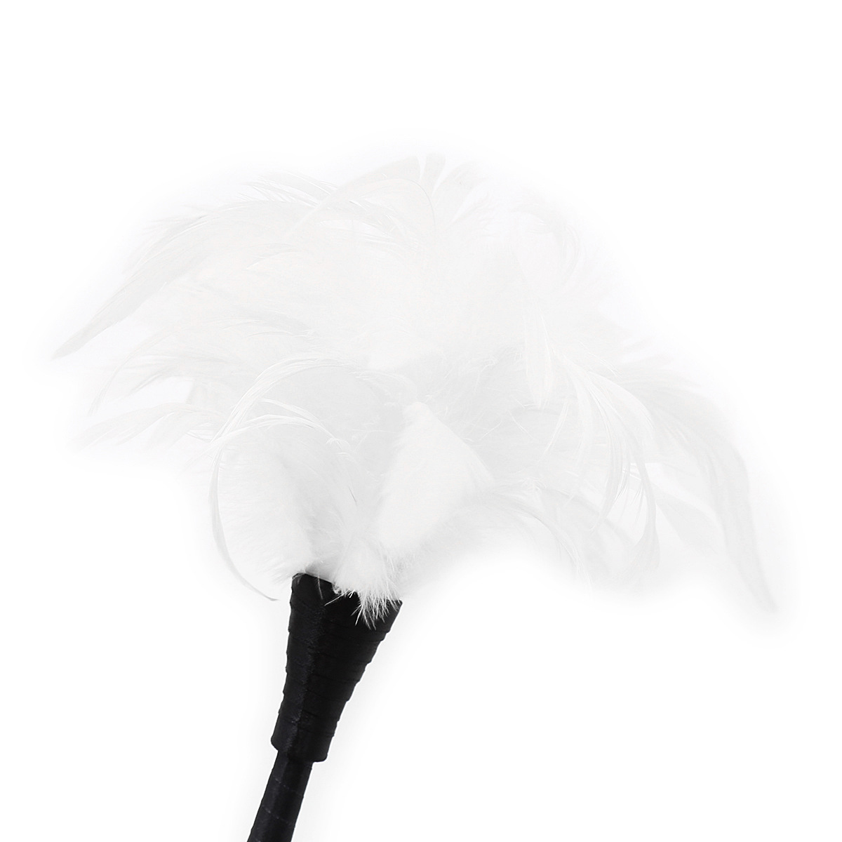 (image for) Frisky Feather Duster