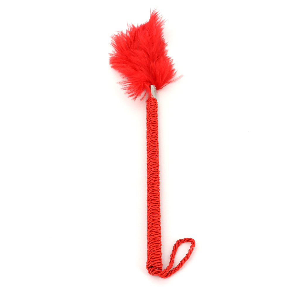 (image for) Playful Feathers Tickler