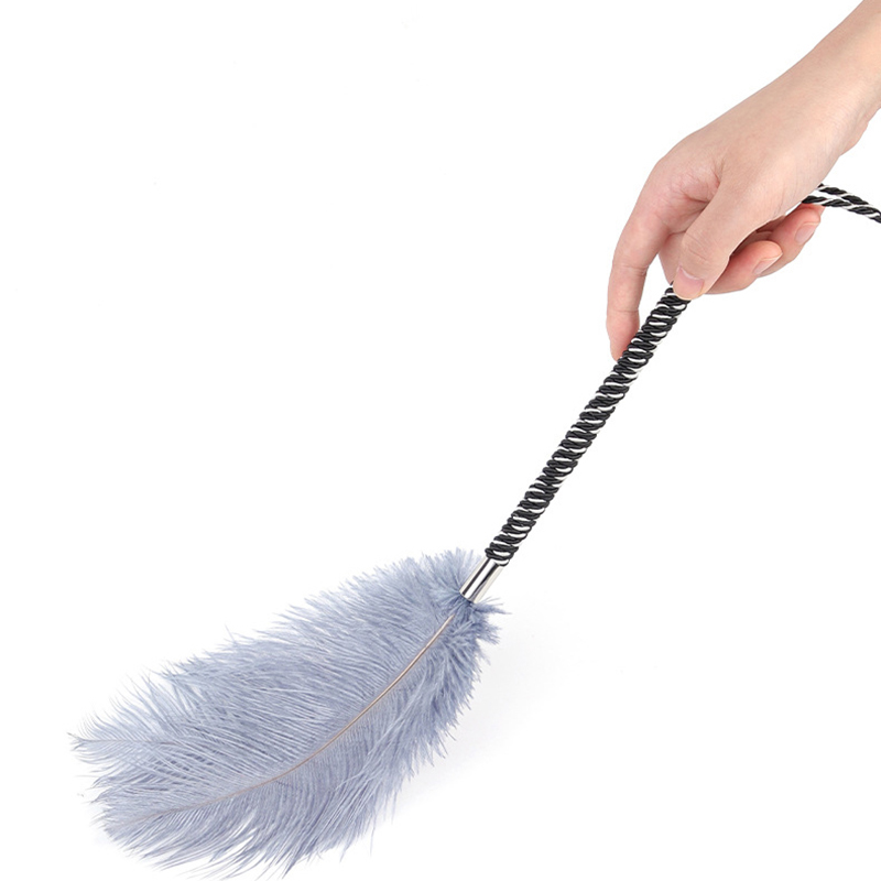 (image for) Playful Feathers Tickler