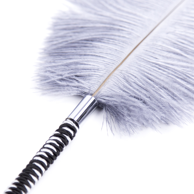 (image for) Playful Feathers Tickler