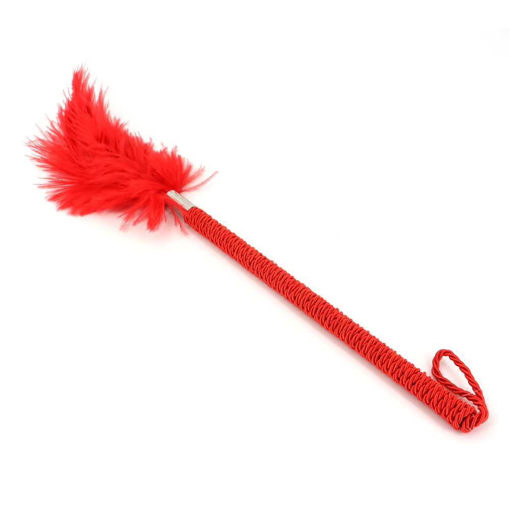 (image for) Playful Feathers Tickler