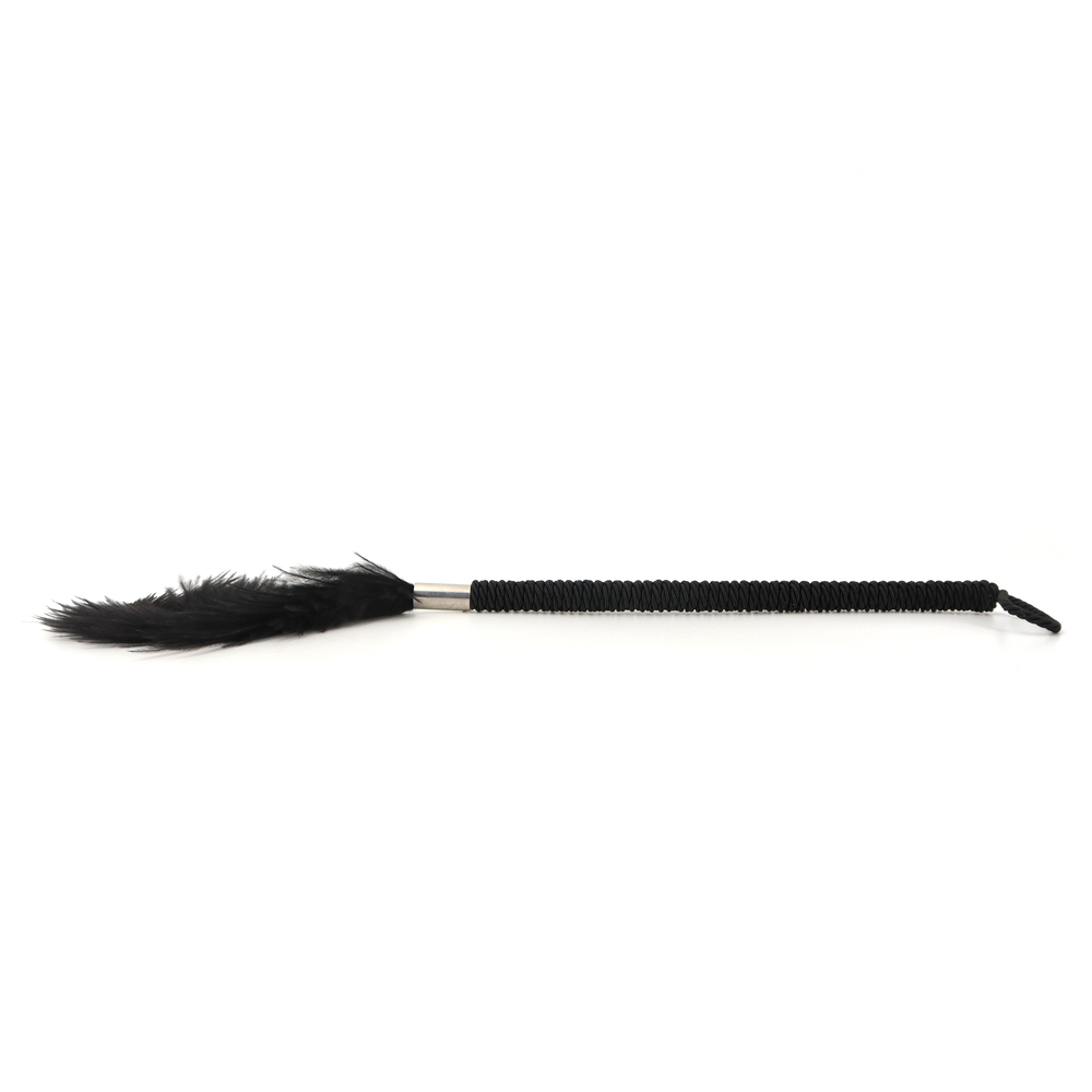 (image for) Playful Feathers Tickler