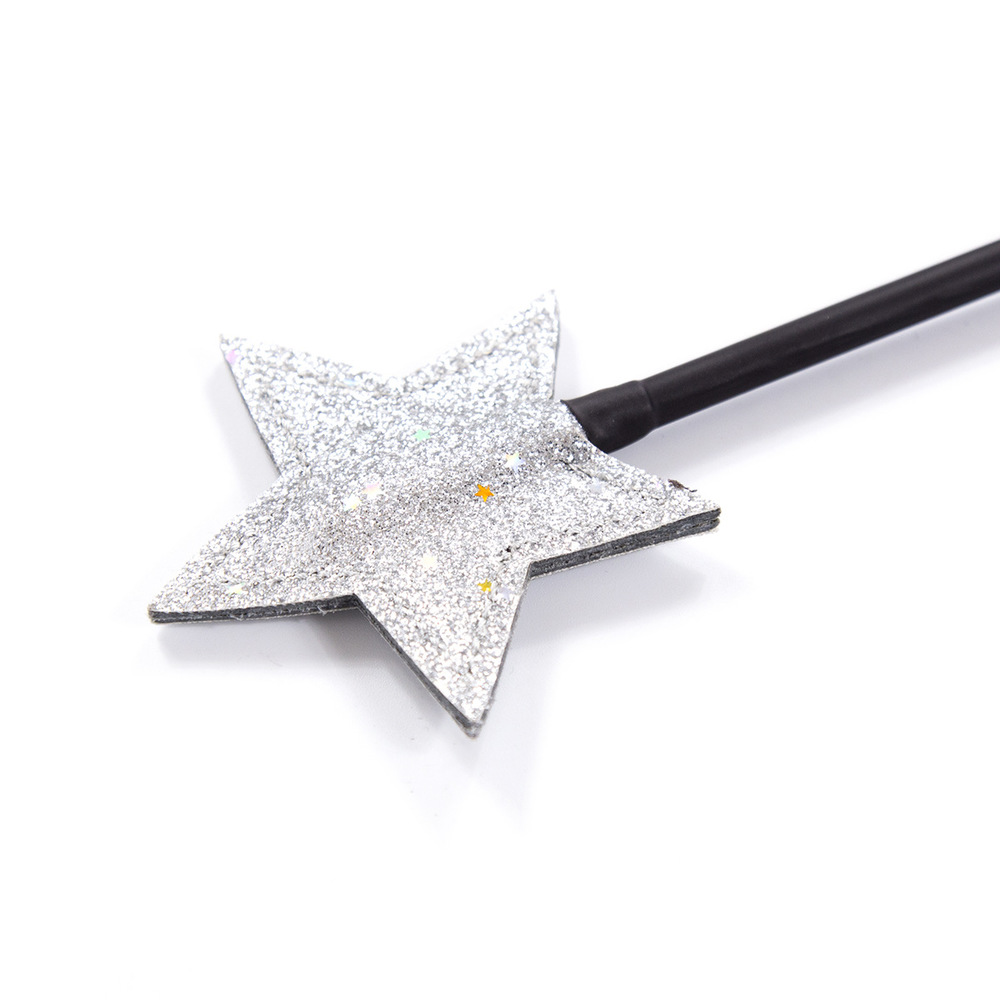 (image for) Start Riding Crop With Iron Chain