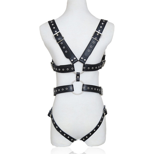 Harness For Kinky Femdom Look