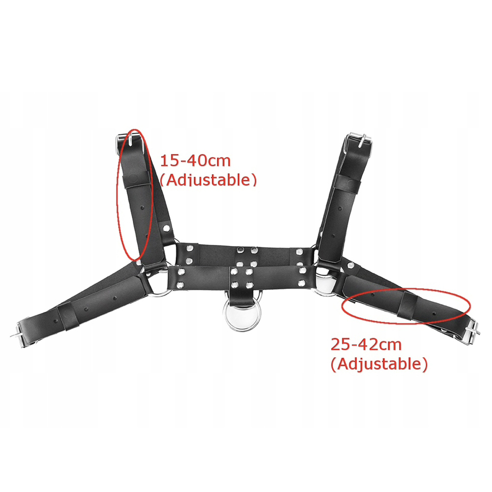 (image for) Leather Upper Body Male Harness