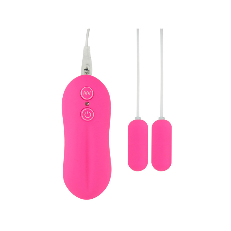 (image for) 10 Function Dual Bullets Vibrator