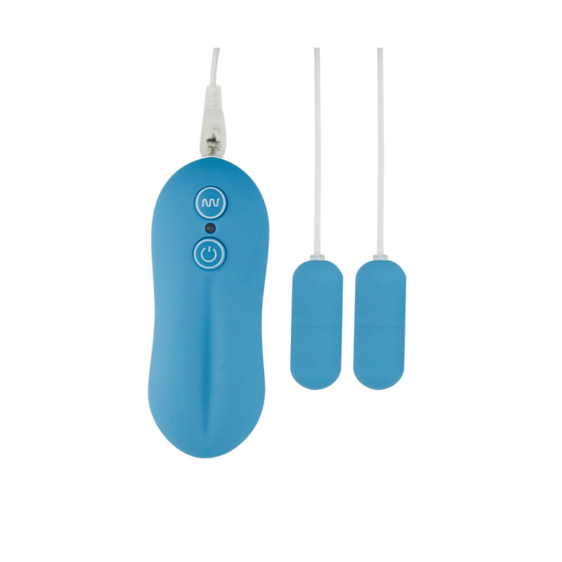 (image for) 10 Function Dual Bullets Vibrator